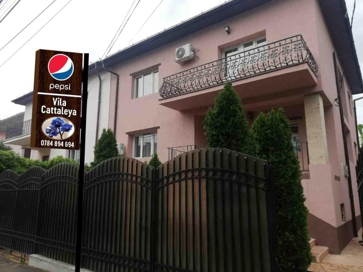 Casa Cattleya Hotel Târgu Jiu Exterior foto